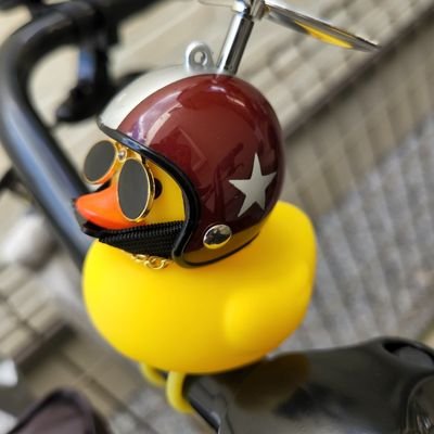 naokohayuugo's profile picture. 趣味はサッカー、ジョギング、バスケット観戦です。2023年からバスケ始めました。アルファメイトのみなさんアルブーバスケ部のみなさんいつもありがとうございます。