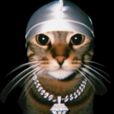 safariivzn's profile picture. #RavensFlock