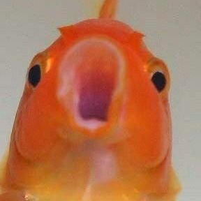 nnn_yaaa's profile picture. NNN | NTF | EB 

💫 ให้หัวใจได้ลองมีความสุขนะ