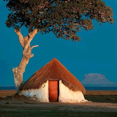 rogony_'s profile picture. 