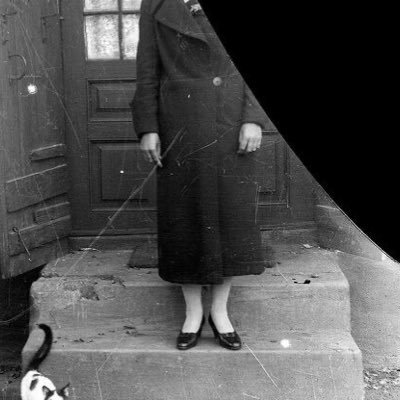 thissufreak's profile picture. 