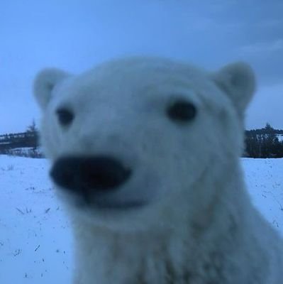 iminthebvilding's profile picture. idk