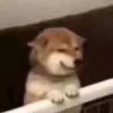 goodsellgoodbuy's profile picture. 문의는 디엠이나 오픈채팅 / 배송 관련 안내는 메인트 참고