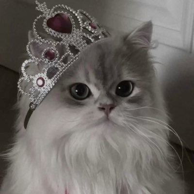 m_aya816's profile picture.