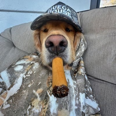 IVibin__'s profile picture. 