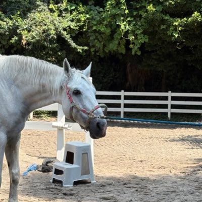 na_x_06's profile picture. 