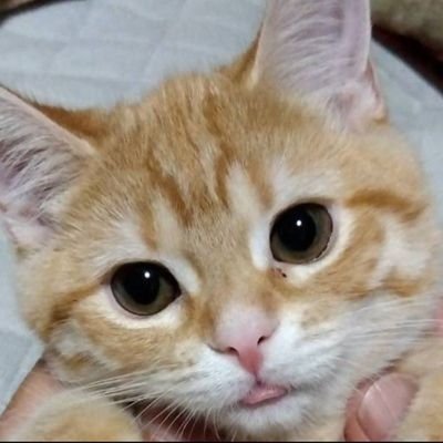 makarov_tokarev's profile picture. これまでの人生で学費にお金をかけていない #無課金オヂサン です。不動産投資、株、外貨、金など、低知能のバカなりにコツコツやっています。 １０万円の財布の中身は３千円と、３千円の財布の中身は１０万円。どっちが本当のお金持ちだと思いますか？