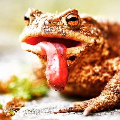 LitOffJenkem's profile picture. 