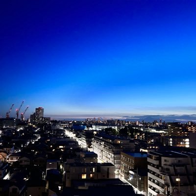 tutti_dev's profile picture. ニュース系呟きますで