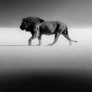 mcvbillionaire7's profile picture. I am investor I am the ceo I am the best
{I use you Ego } { I love Ego }  { I destroy ego}