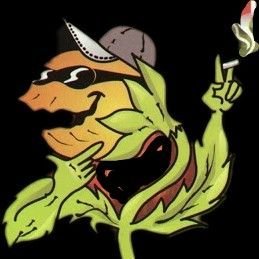 CrimKarma's profile picture. Criminal Karma || El Mejor Contenido Diario