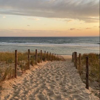 ICPSLK's profile picture. 