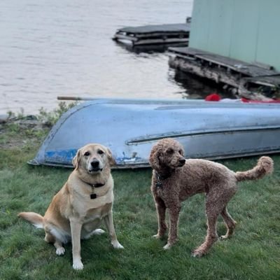 Jesus_Ham's profile picture. Professional parent