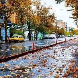 HalakuKhanX's profile picture. 