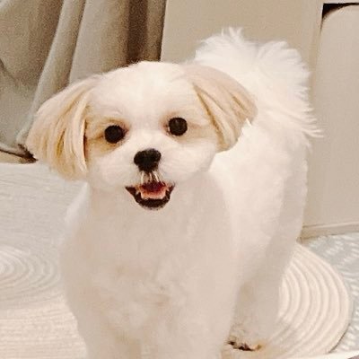 ohagi_1182's profile picture. Webエンジニア | フリーランス←メガベンチャー←SIer