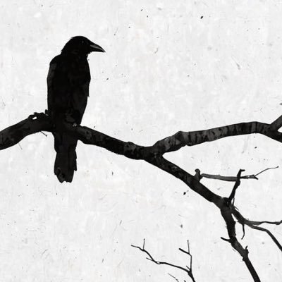 hvtran_'s profile picture. Sometimes I go about in pity for myself, and all the while, a great wind carries me across the sky.