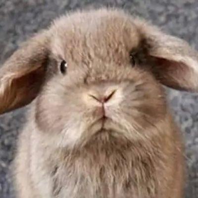 _22cyu's profile picture. 뿅