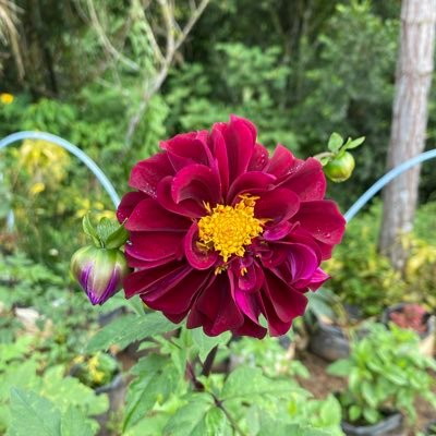 lablabmjoy's profile picture. I'm gonna have everything I prayed for. ❤️❤️✨🙌🙏 By God's Grace 🤍✨