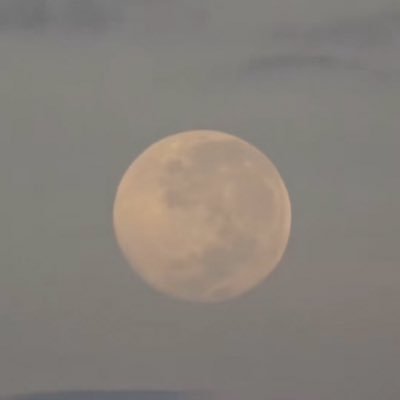 Chulo875773's profile picture. 🪭💨🔥