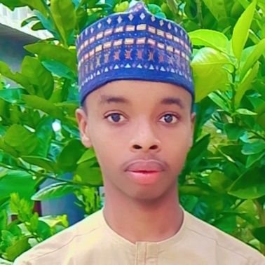 AliyuKabir46772's profile picture. 