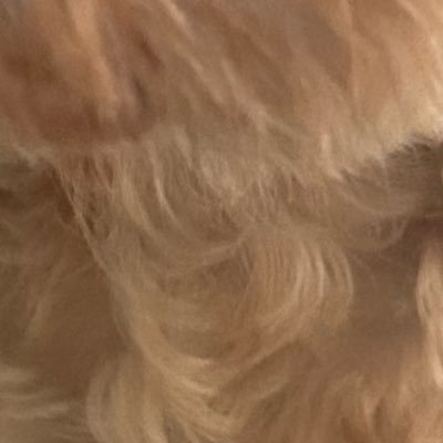 xIv0RoVMTP93174's profile picture. ^_^