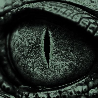 S4RC0SUCHUSS's profile picture. ☆ 20 ☆ it/its ☆ taken @darkroastdreams ☆ we're off to go see slendy, the wonderful slend-oh fuck /ref ☆ art @xavioursucks ☆