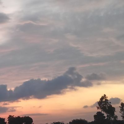 MitraSen156805's profile picture. 