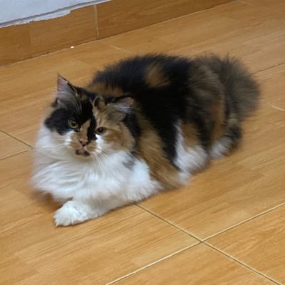 14045w's profile picture. 