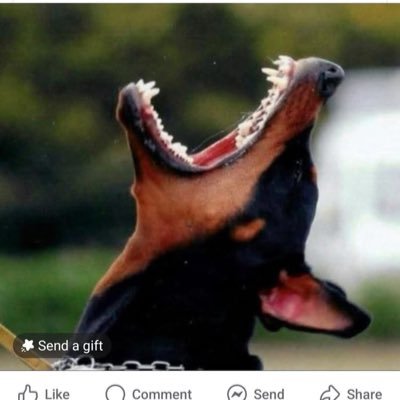 eltiteondr6713's profile picture. 