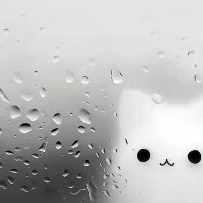 ja989O's profile picture. 男娘（受） 167  96斤
找包养
门槛15r
可加q 私信me
暂不线下