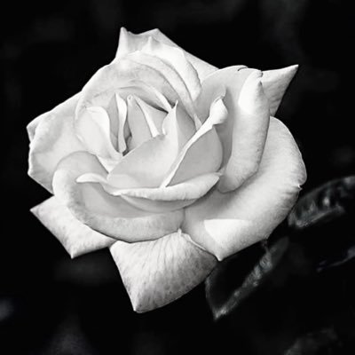 tangsard's profile picture. 🇹🇭People change,memory don't📣🔴You'll never walk alone🔴 💛คิดดีทำให้ดีเท่าที่แรงมี#คนหาเช้ากินค่ำ#อธิฐานขอให้สังคมมองเห็นดีคือถูก มองเห็นชั่วคือเลว💚