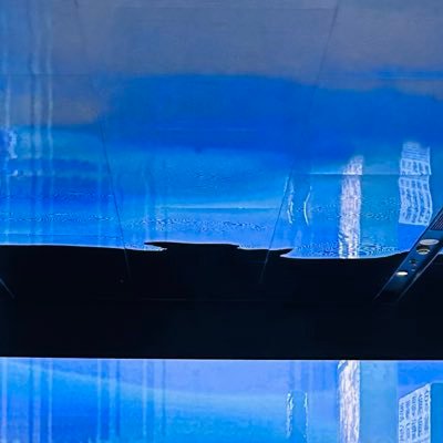 saintsunana's profile picture. 