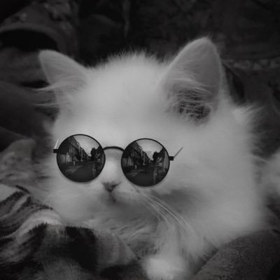 tumumu00's profile picture. 20↑/成人済大学生/ hrak / dcst /ハマり中/主人公右🙌