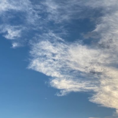 G1QP8X07Fx99269's profile picture. 24卒｜浪人+中堅私大文＋GPA1.0代＋サークル❌サマーインターン❌→業界最大手企業＋東証プライム上場企業複数内定 Fラン、無名大学、私大文系向けに学歴の差を挽回する就活対策を発信します！｜ココナラでの就活サポートにて最上位の【プラチナランク】達成！