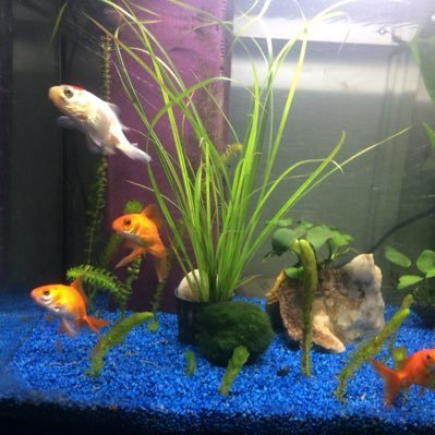 Ra92448Franoise's profile picture. J’attends pas le retour pour faire des biens