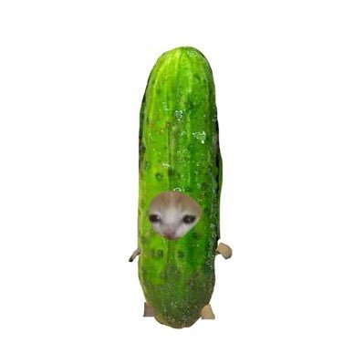 saysomethingsus's profile picture. life imitates art