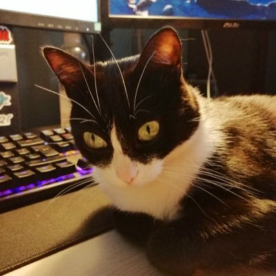 gaDEV_es's profile picture. Backend developer, pero le doy a todo tipo de develop, no me corto.