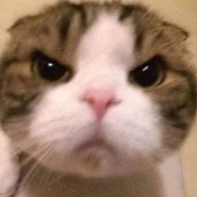 marun_19's profile picture. ディーラー屋さんhttps://t.co/IDK5DpRb8K