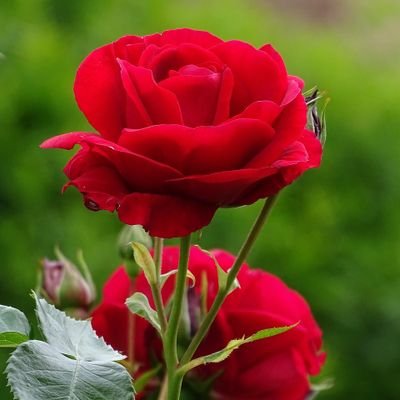 faqih1206's profile picture. Jangan buang energimu untuk tidak Yaqin dan percaya !!!

Tekadkan yakinmu dalam hal apapun