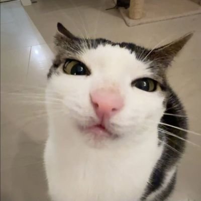 agipeu180347's profile picture. 약한영웅