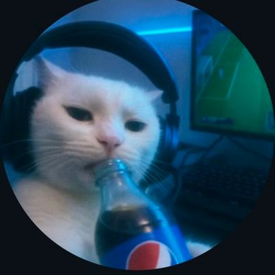 AdamTopg248408's profile picture. 