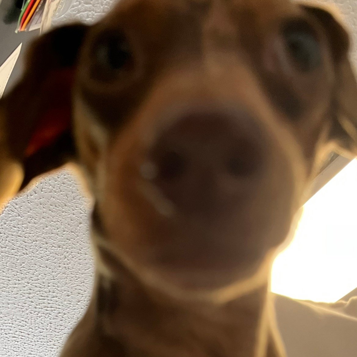 Josh3boiiii's profile picture. 