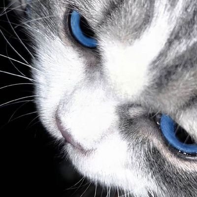 y4nnv_'s profile picture. 