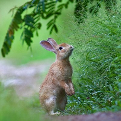 Emmaxxer's profile picture. 