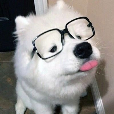 ORueangsee74077's profile picture. 