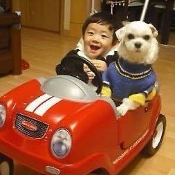 sepbizodiac's profile picture. delete dm