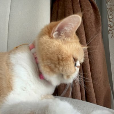 MilaCoban's profile picture. 