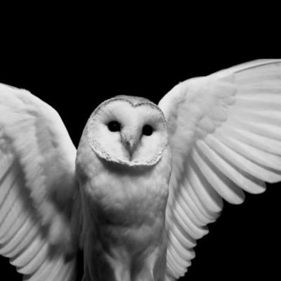 icantwait04's profile picture. Buy the gummy bear album november 5th!