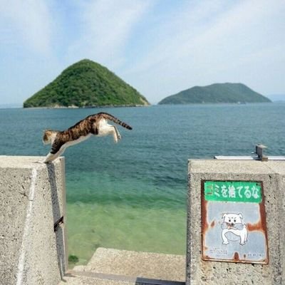 forgot_again_'s profile picture. despite everything, it's still you