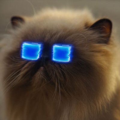 Kcnng23's profile picture. Be Your Own Bank (Base & Sui) small crypto investor that loves good projects